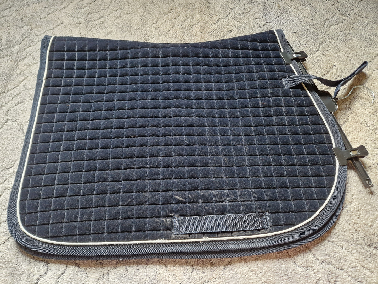 Czaprak vs Velvet granat