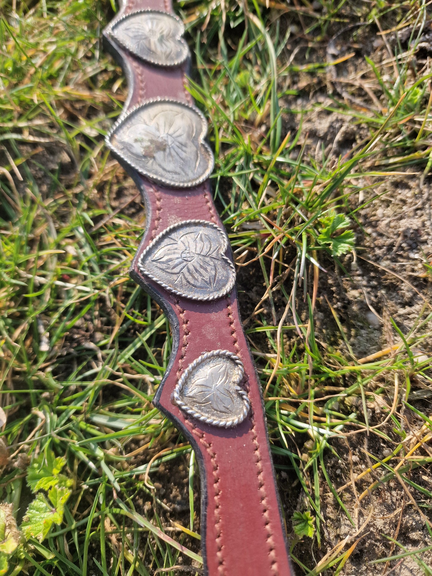 Napierśnik z sercami pony/cob