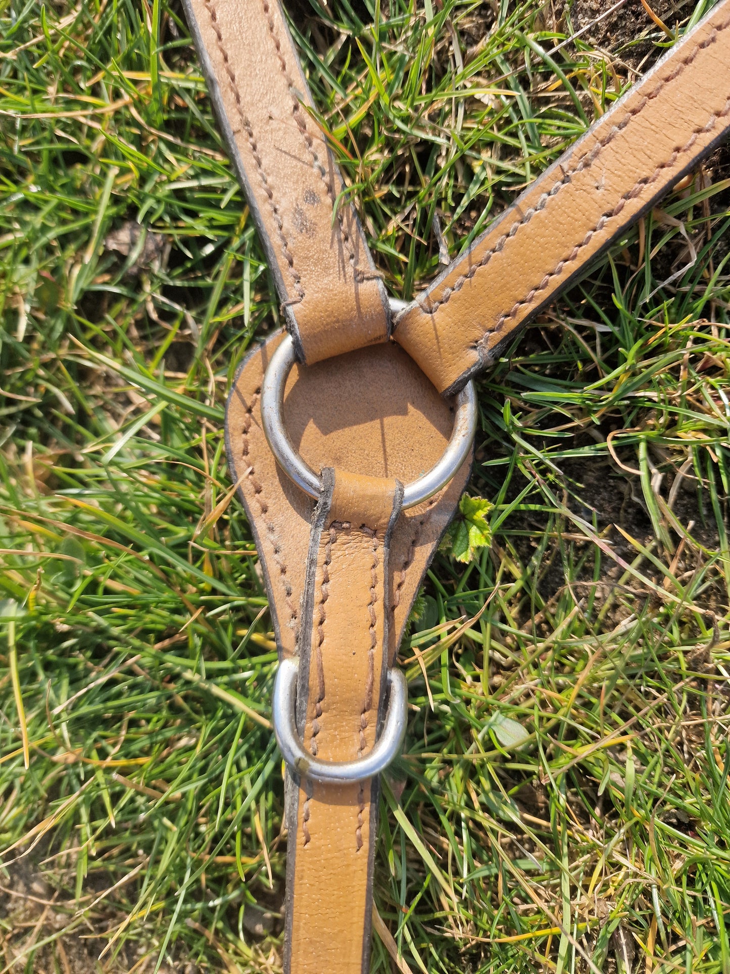 Napierśnik ozdobny Pony/Cob