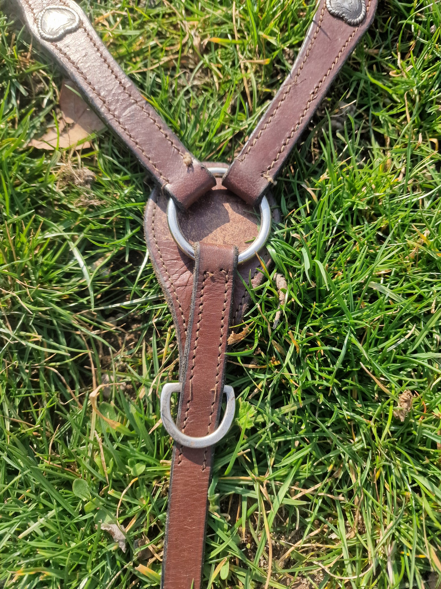 Napierśnik z sercami Pony/cob
