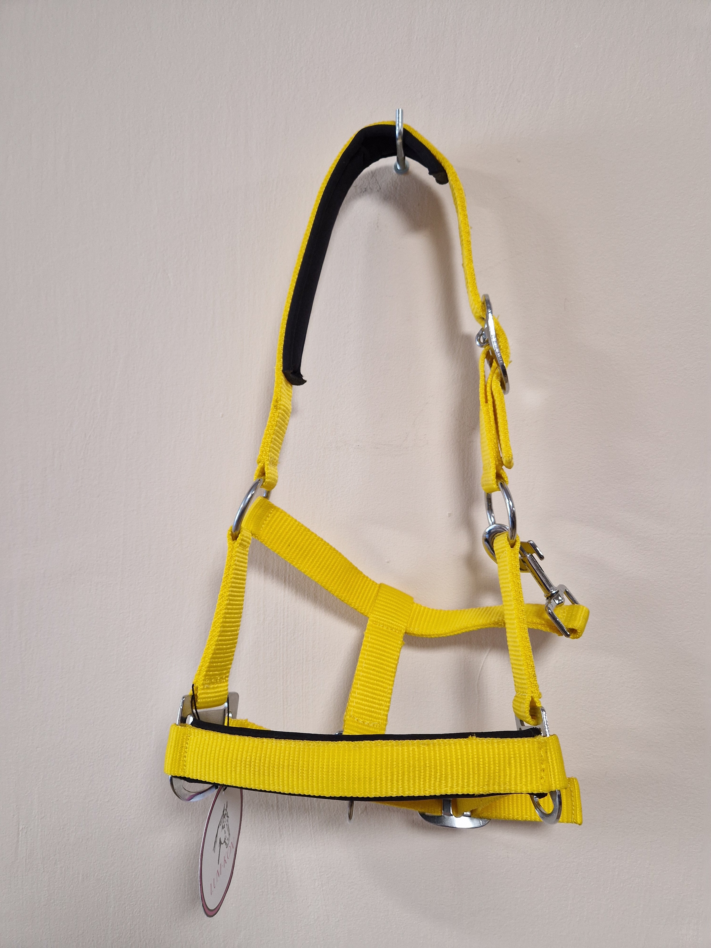Kantar Lum-Kon Memory Foam Acid Yellow