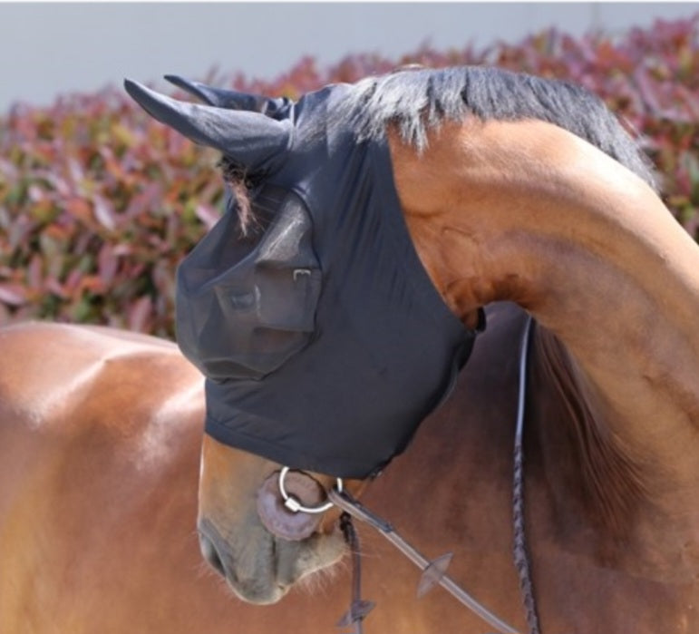 Nowa Maska na owady kentucky full