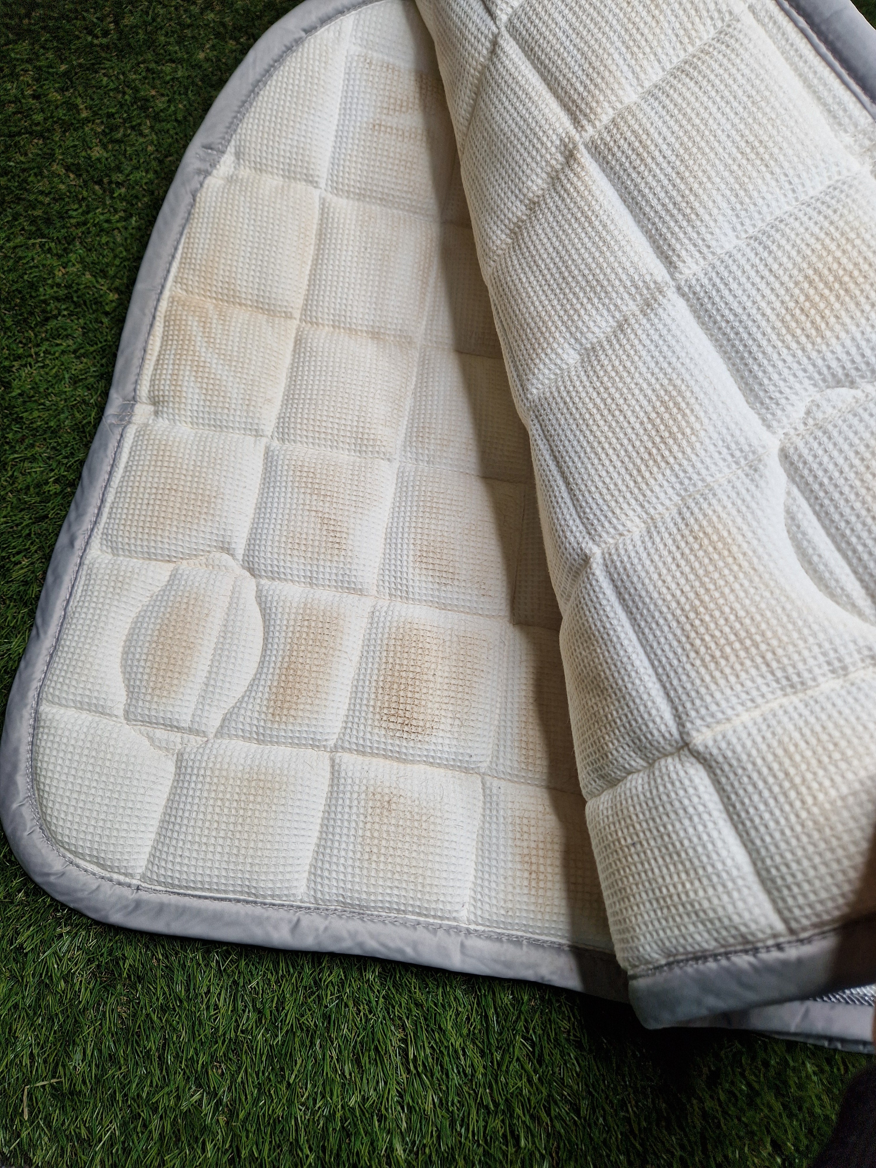 Czaprak Eskadron VS  COTTON BIG SQUARE " Platinum PURE "