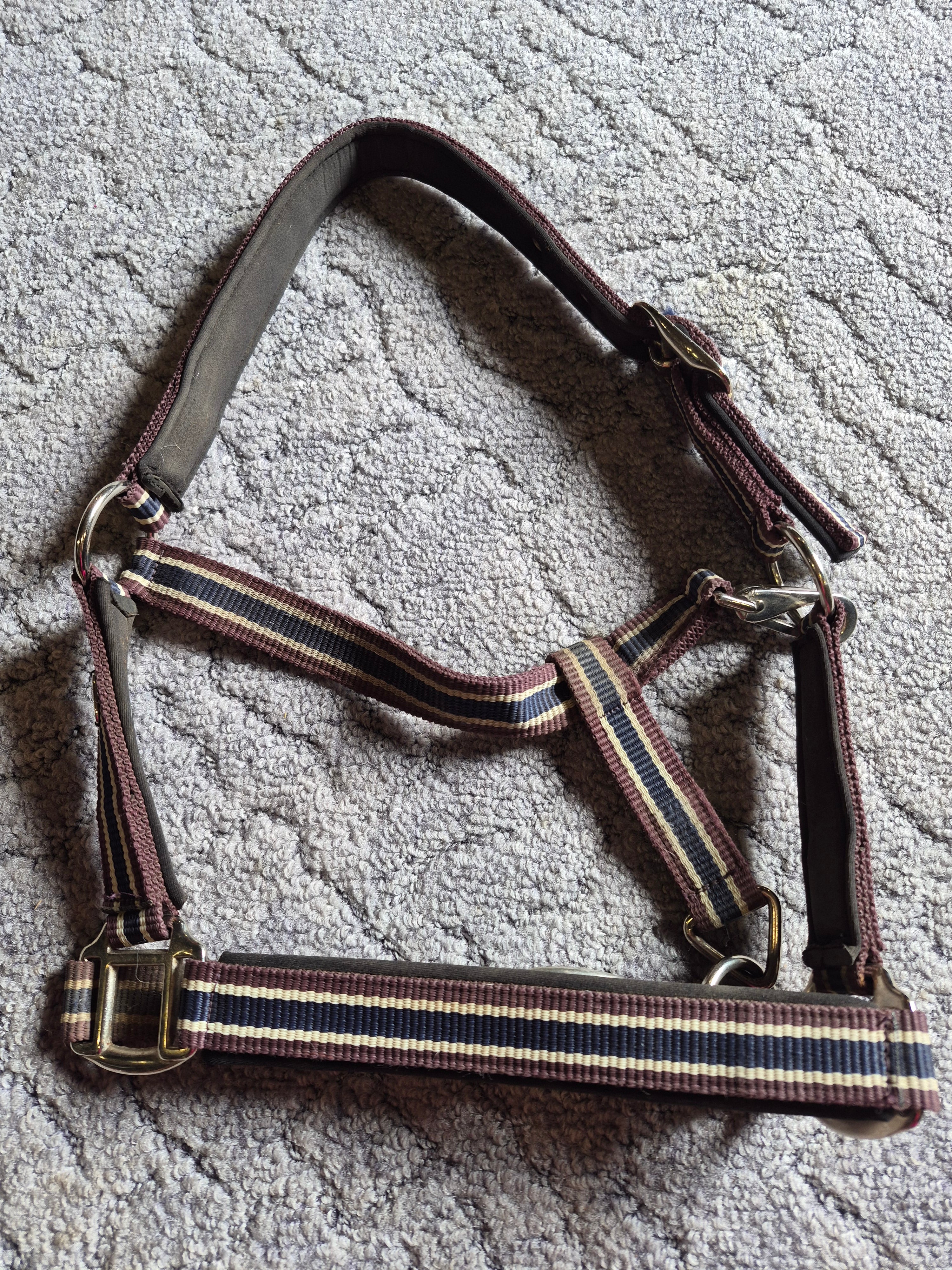 Kantar pony trikolor