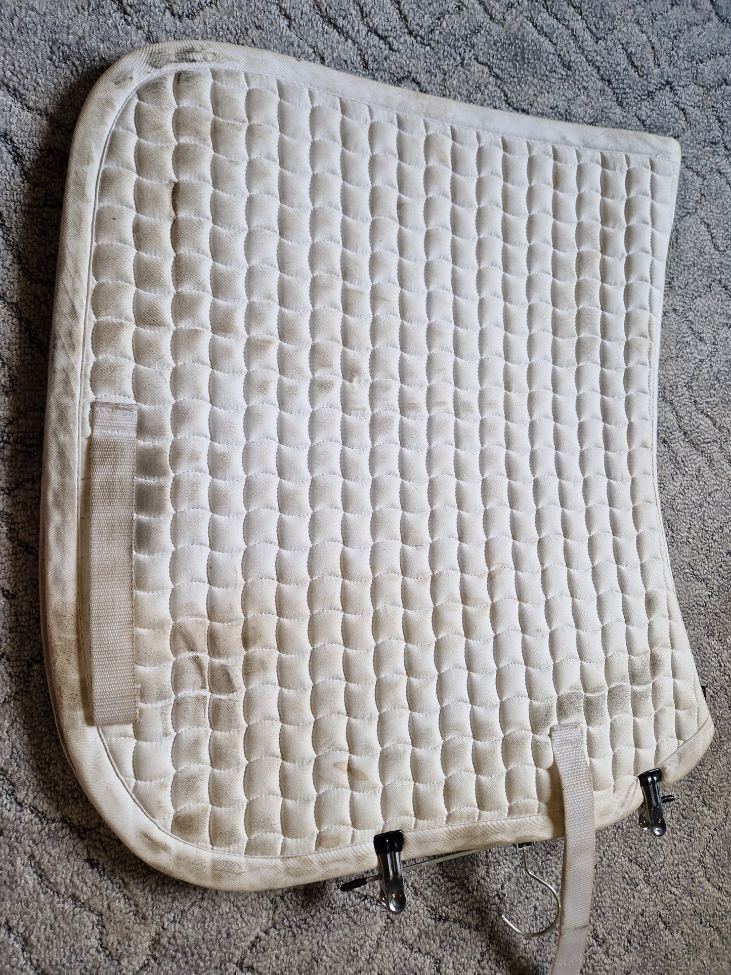 Czaprak eskadron Cotton PD