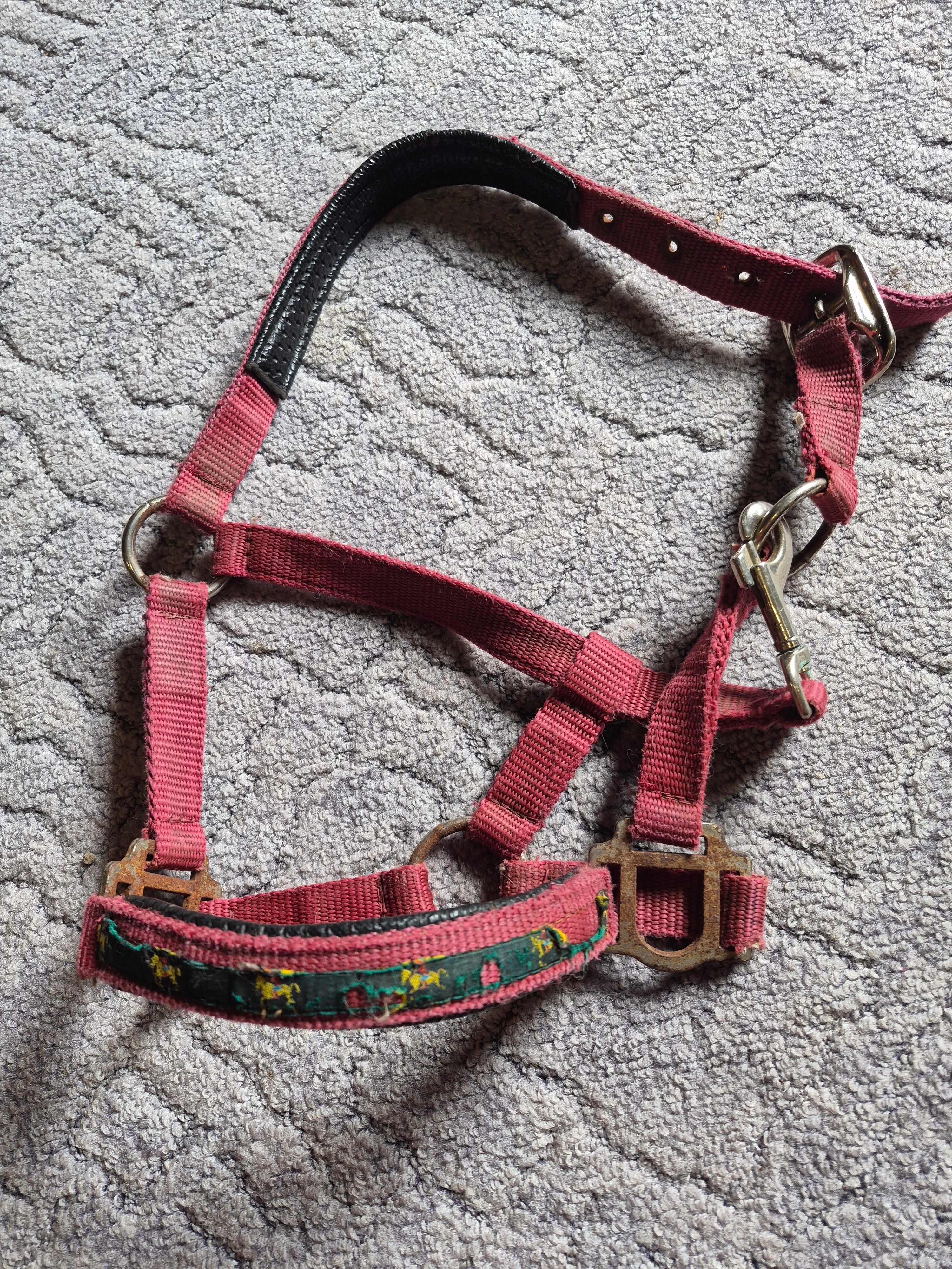 Kantar esladron pony