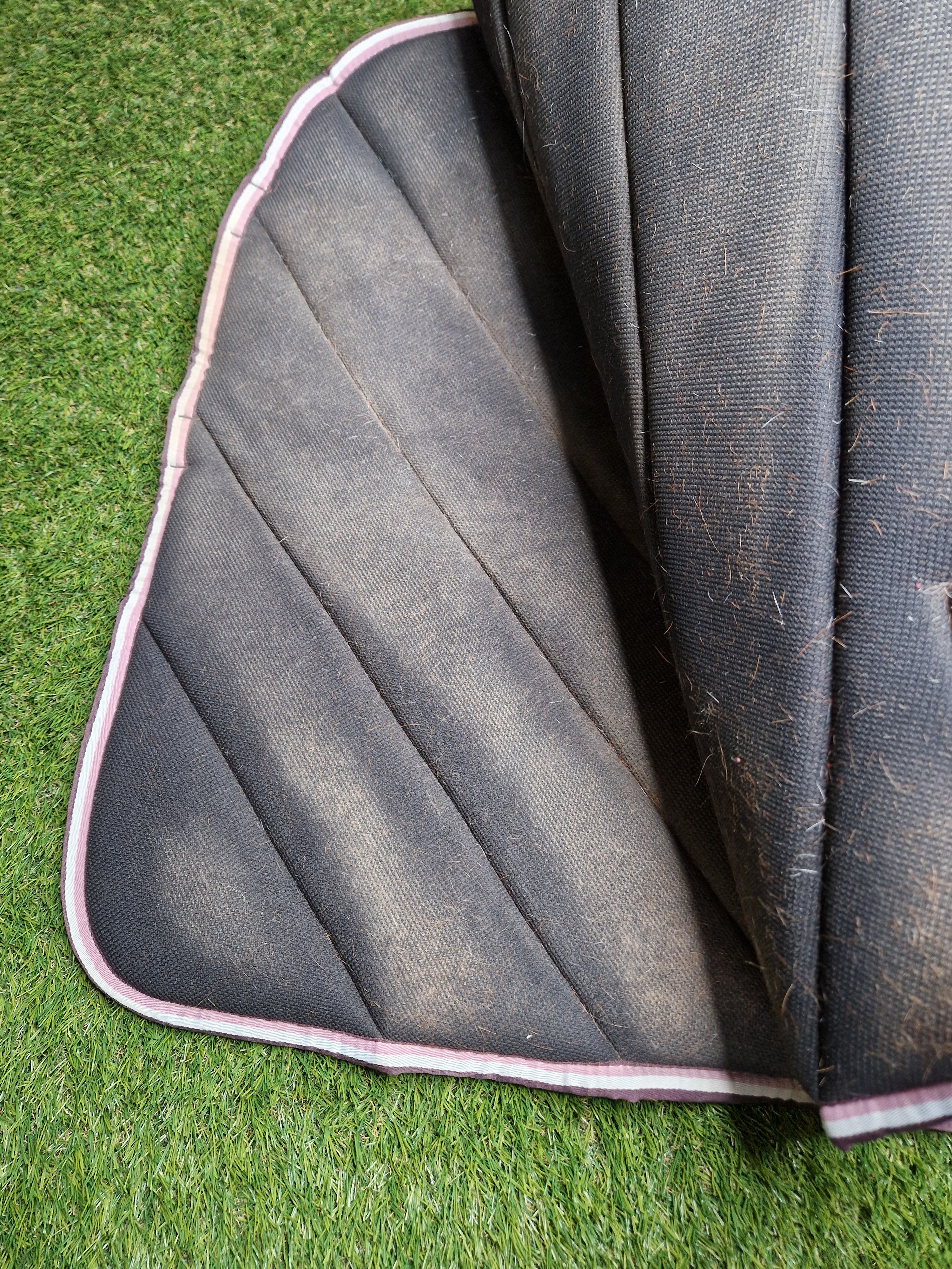 Czaprak VS eskadron Blackberry