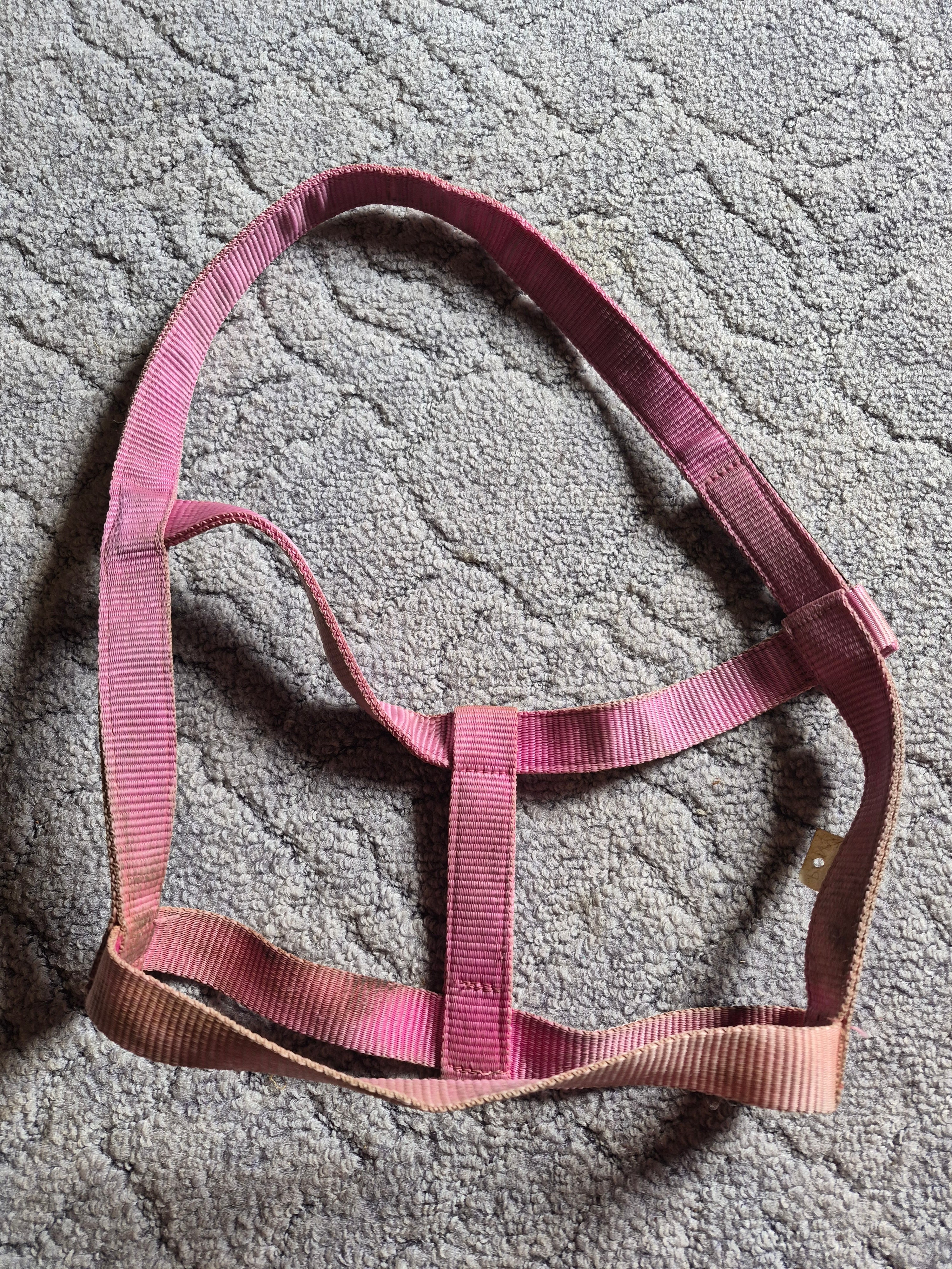 Kantar pony bez okuć padokowy