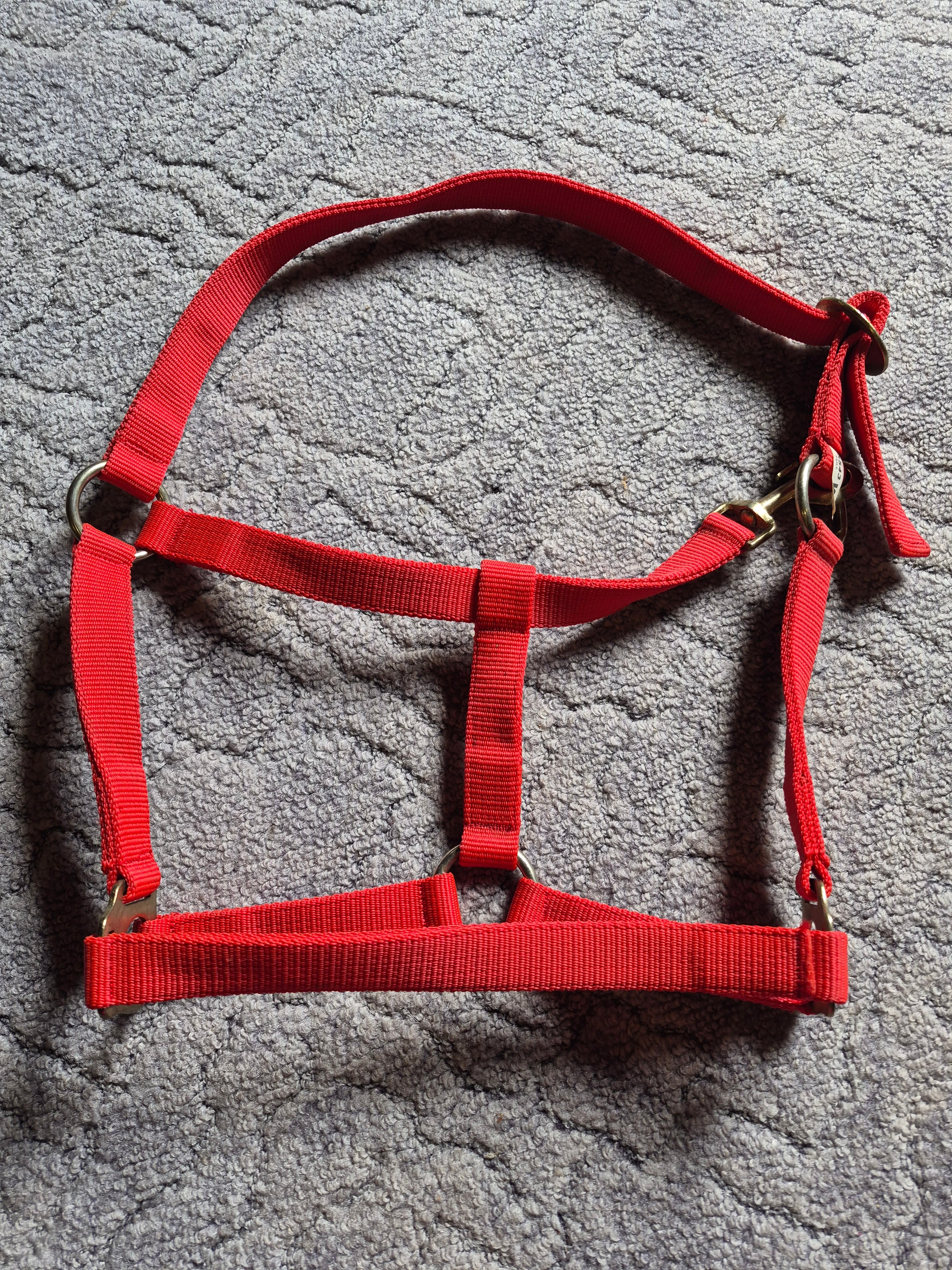 Kantar czerwony full