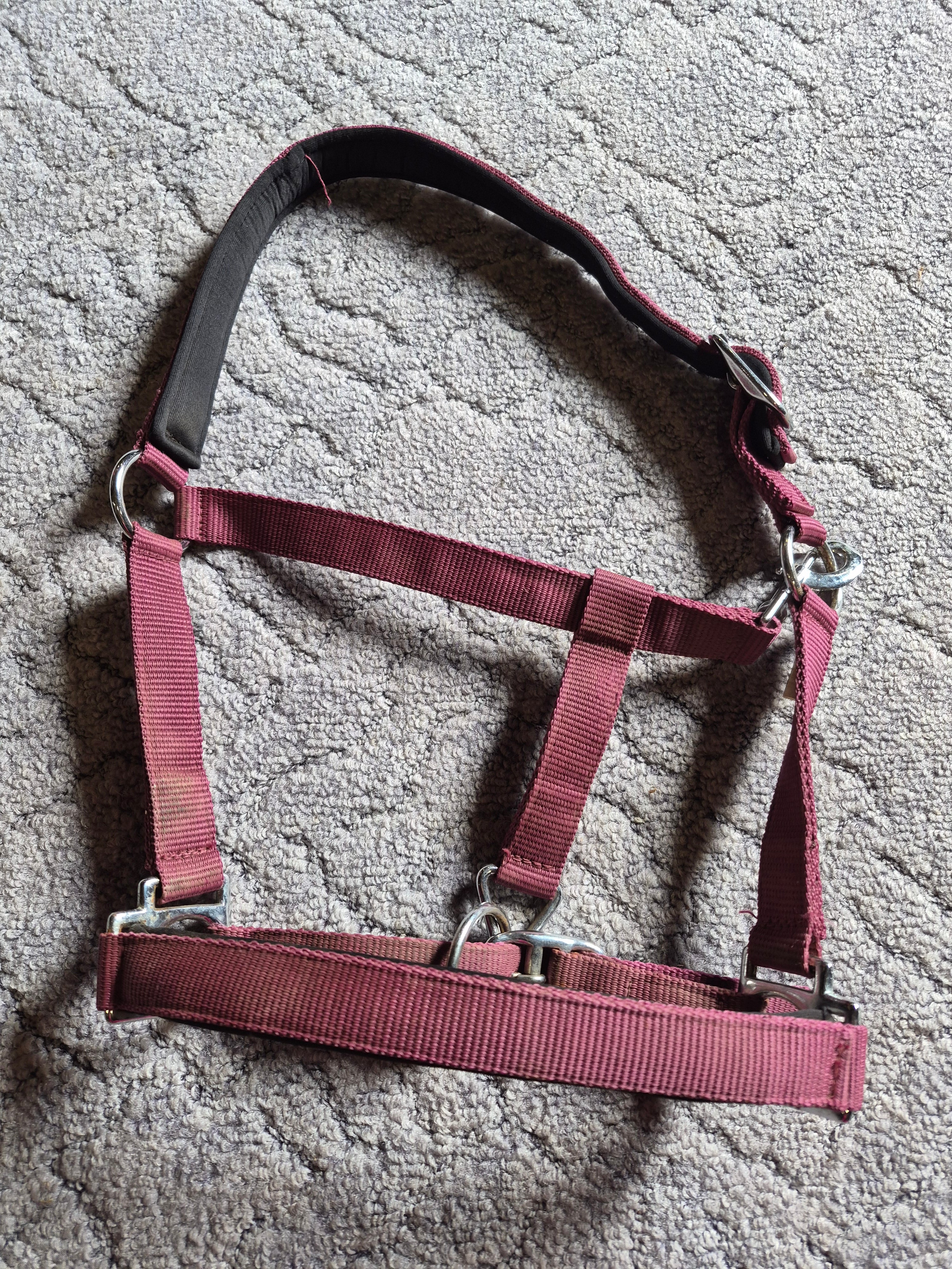 Kantar pony bordowy z bardzo miekkim podszyciem