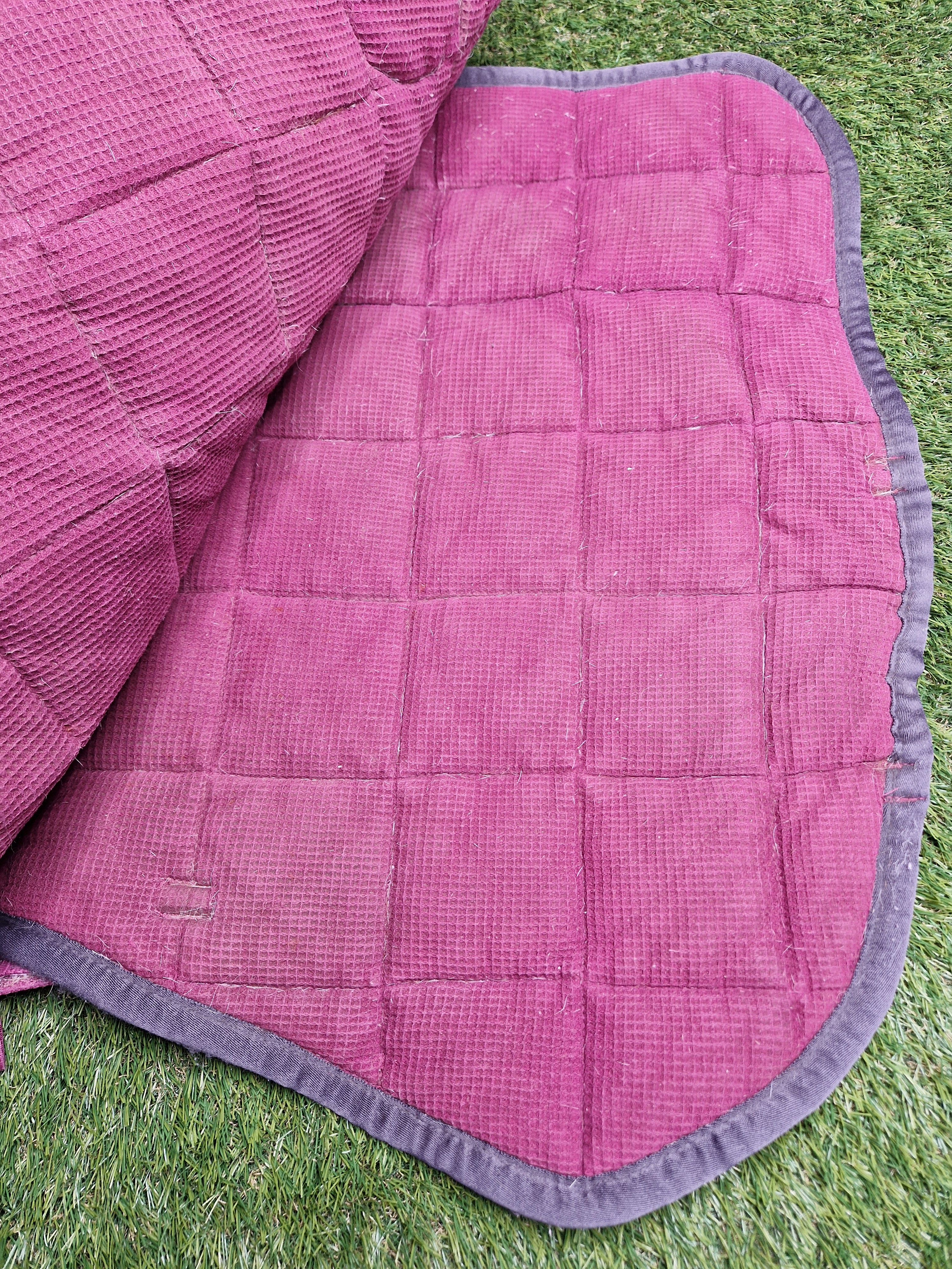 Komplet vs full eskadron NICI Burgundy 2014/15