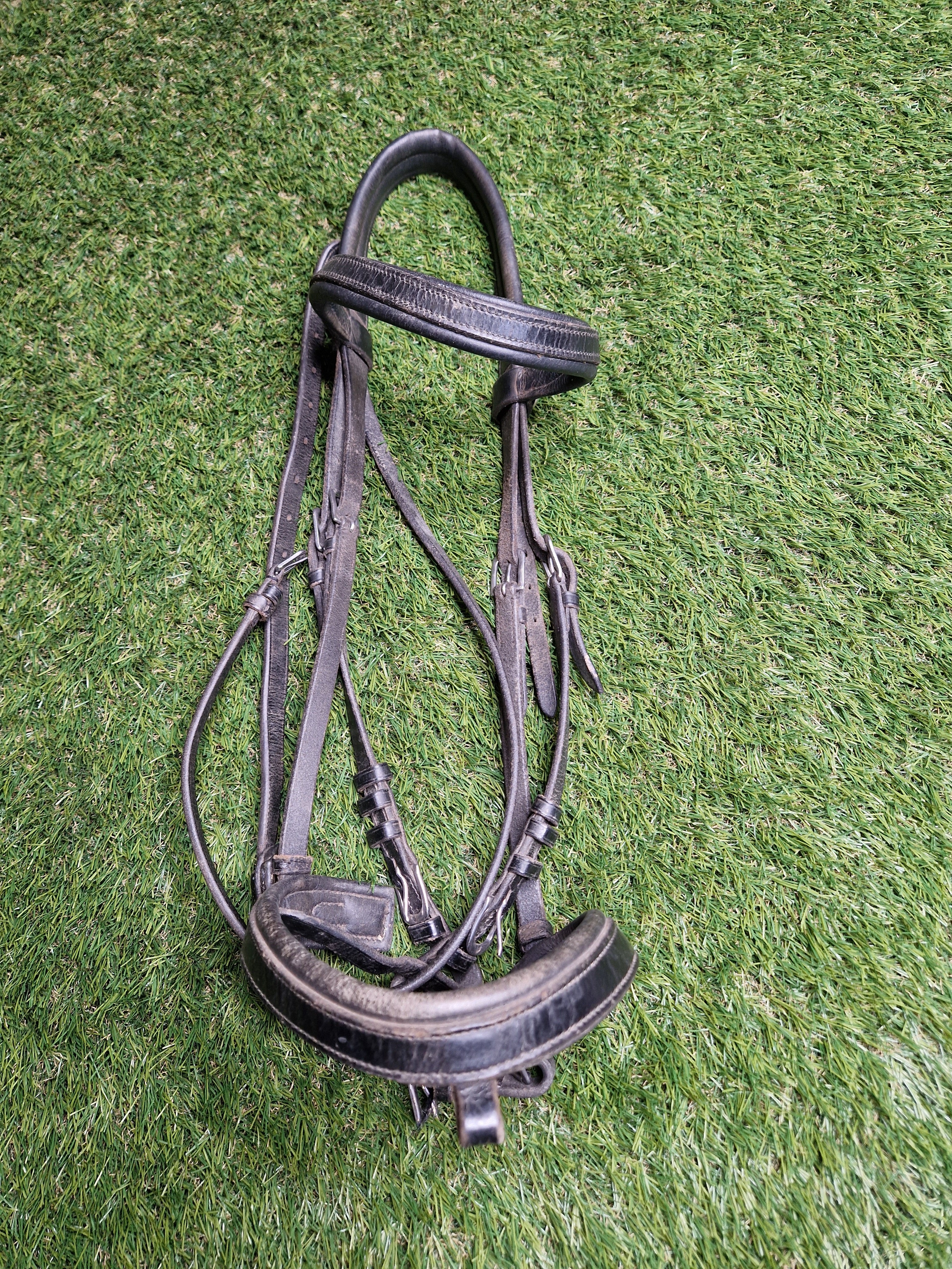 Ogłowie COB anatomiczne