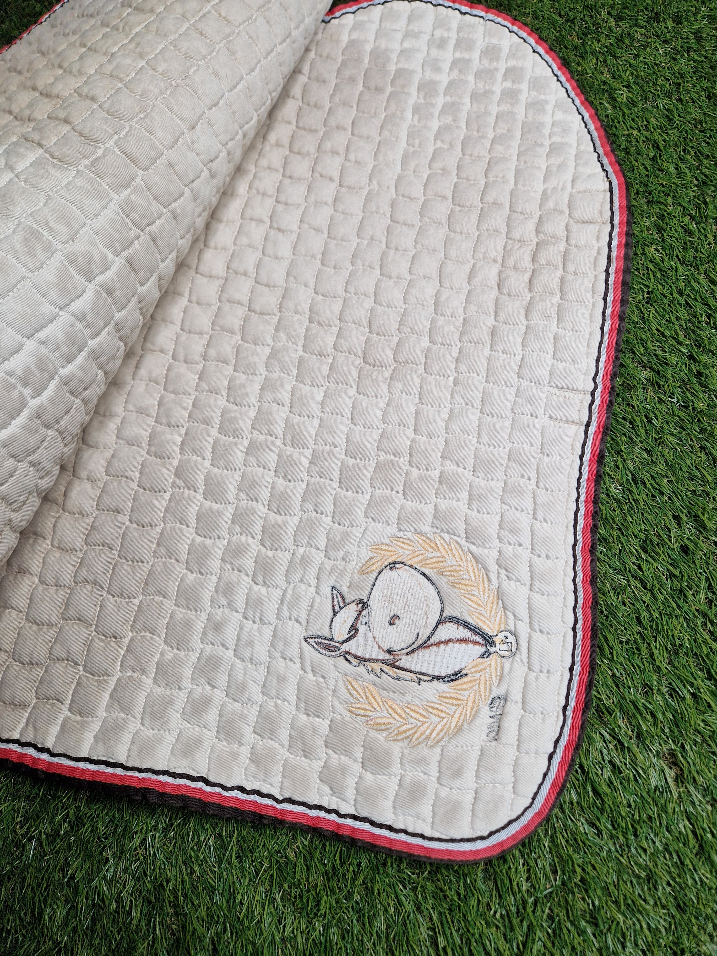 Czaprak eskadron NICI vs Creme