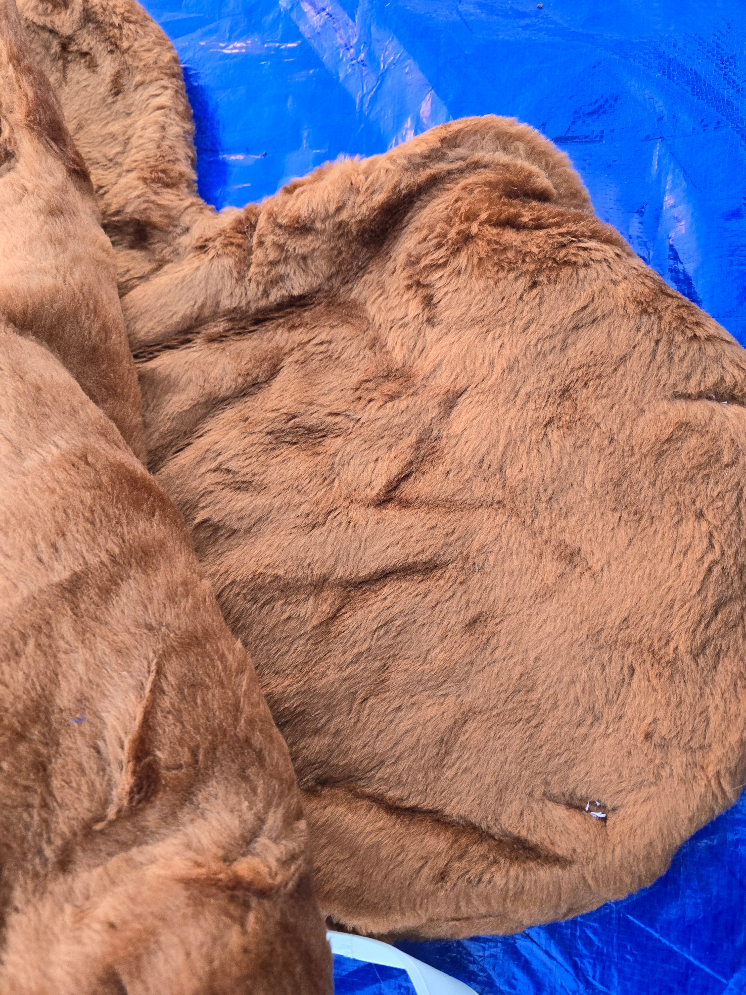 Red fur saddle cloth 16 inches