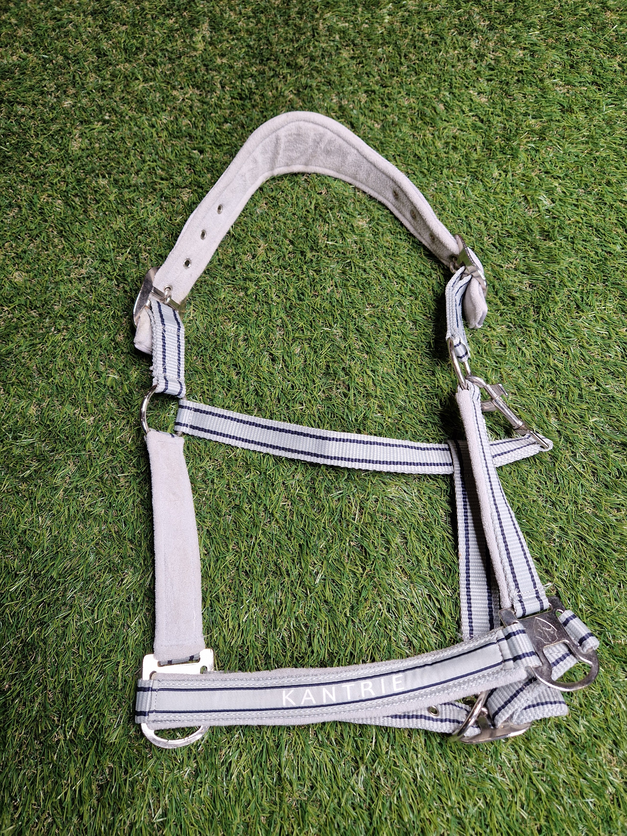 Kantar Pony anatomiczny