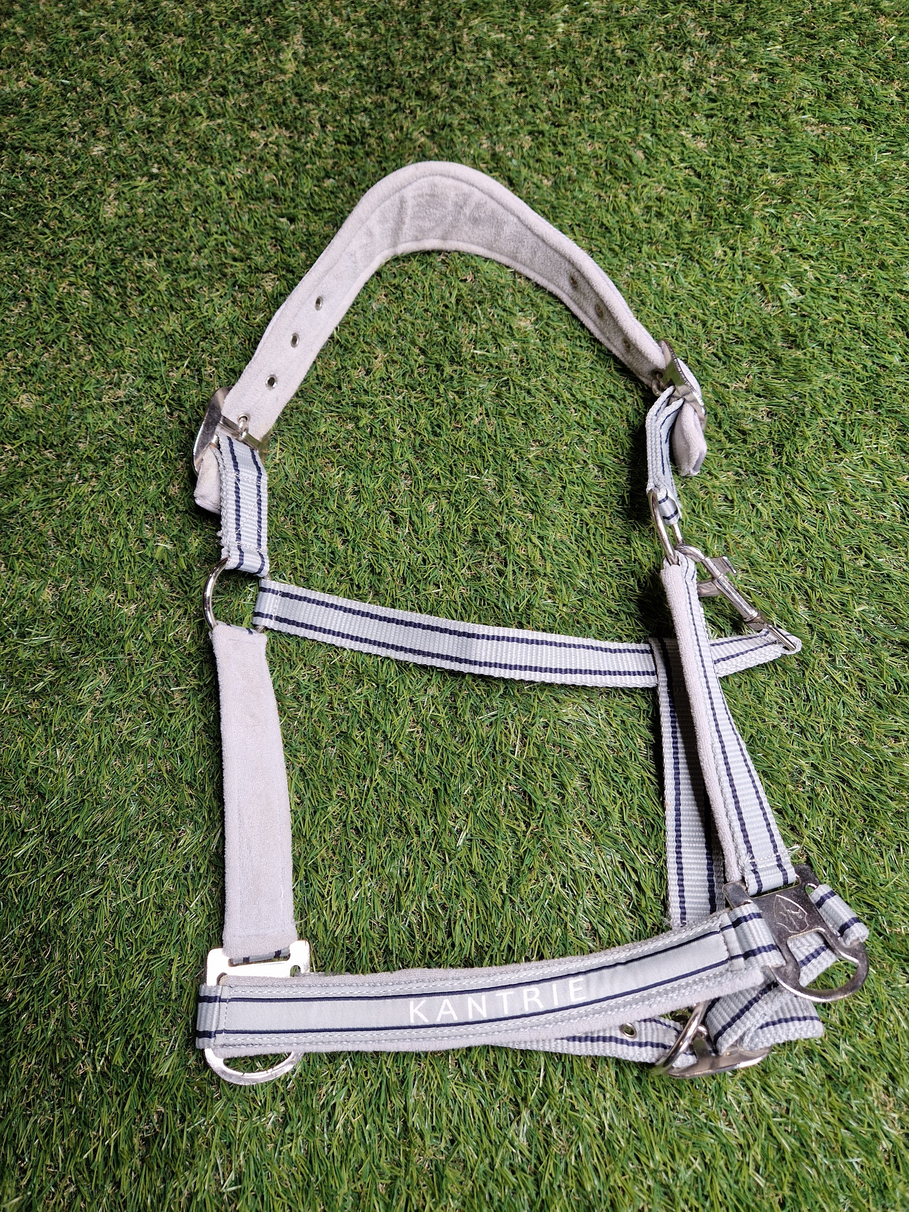 Kantar Pony anatomiczny