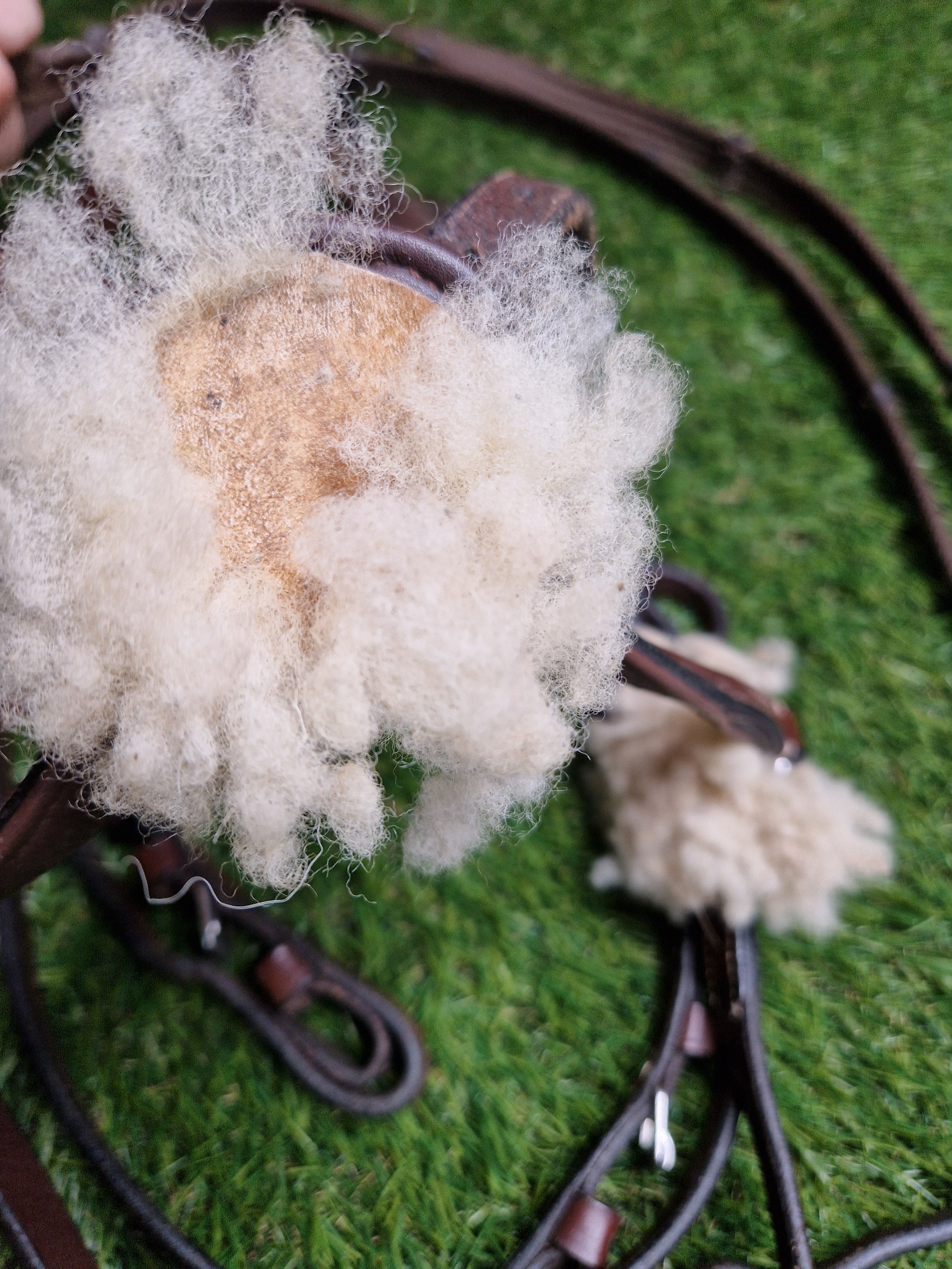 Ogłowie meksykańskie FULL