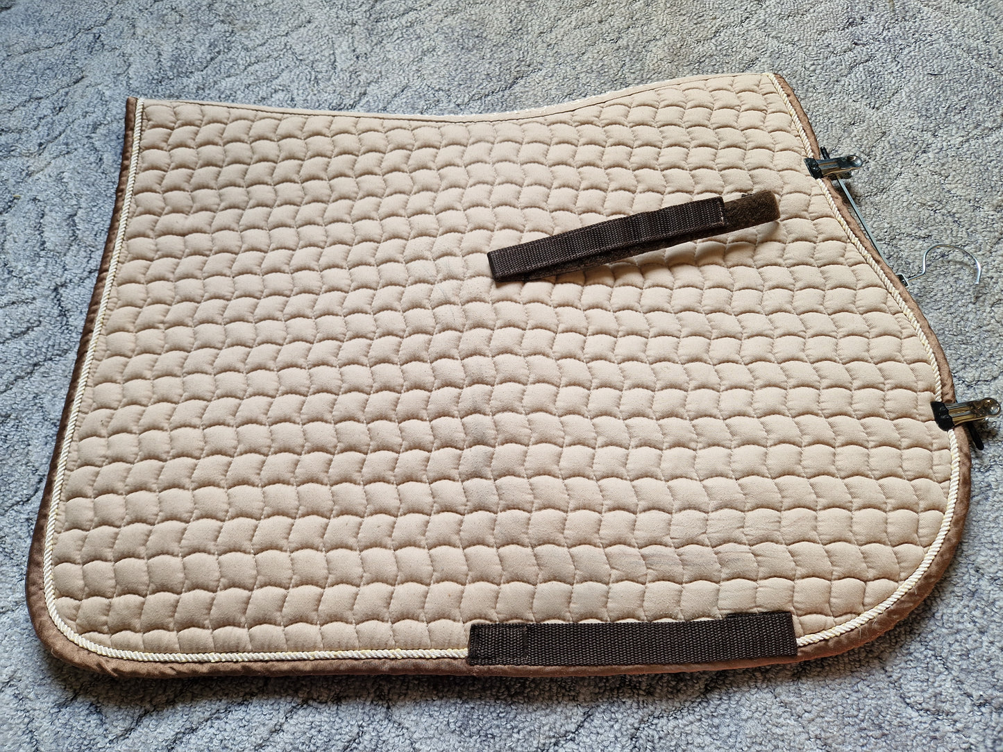 Czaprak vs Schöckemohle