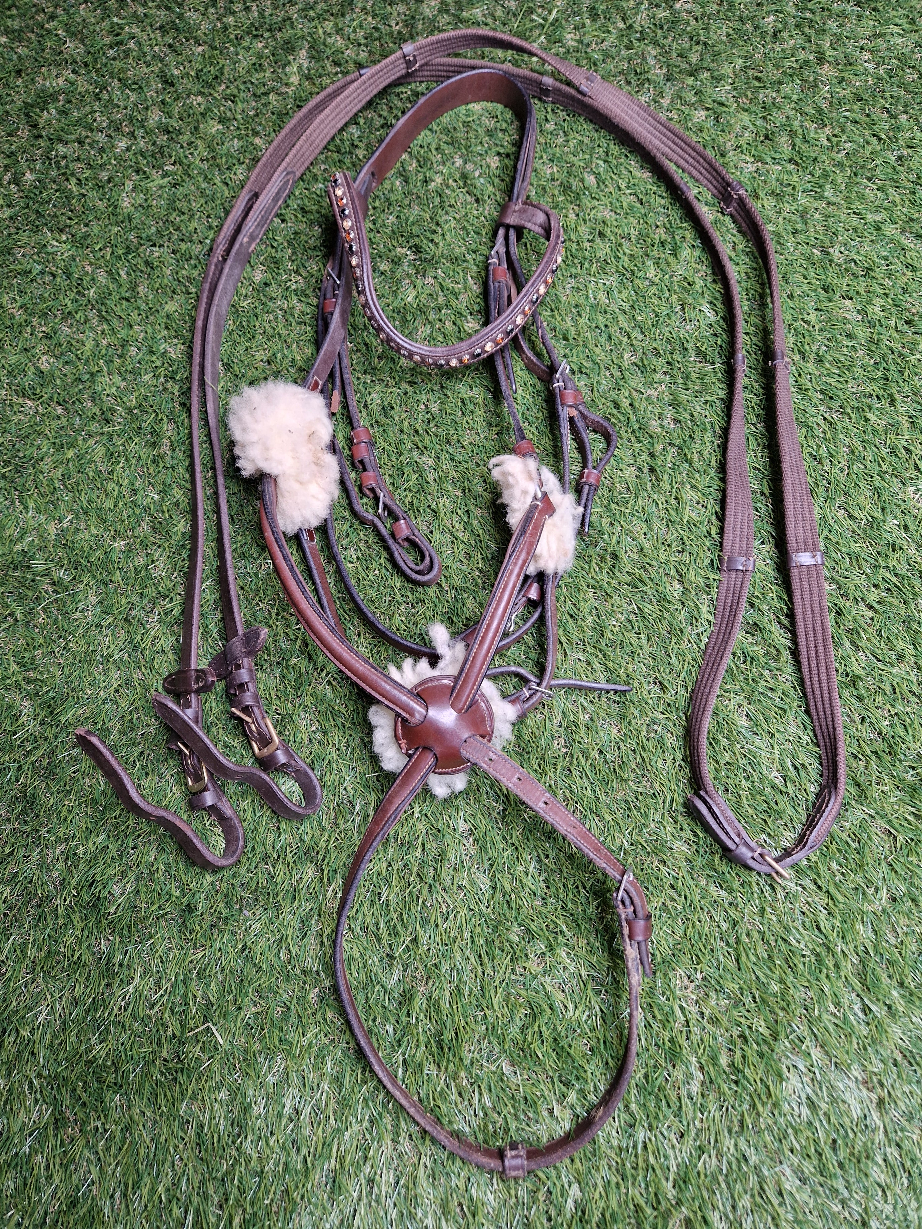 Ogłowie meksykańskie FULL