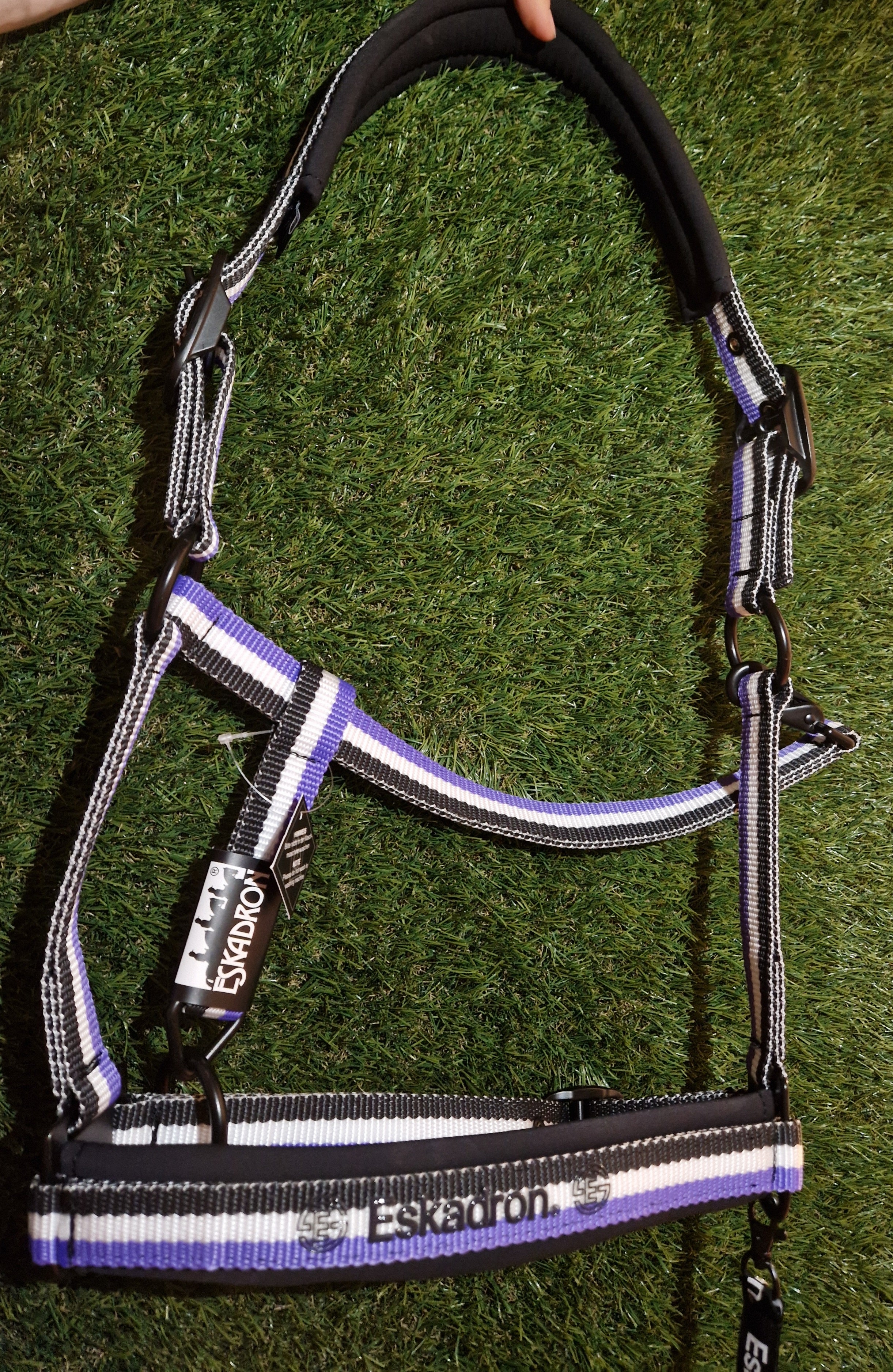 ESKADRON DYNAMIC 24 KANTAR DOUBLE PIN BLACK / WHITE / PURPLE Kantar full