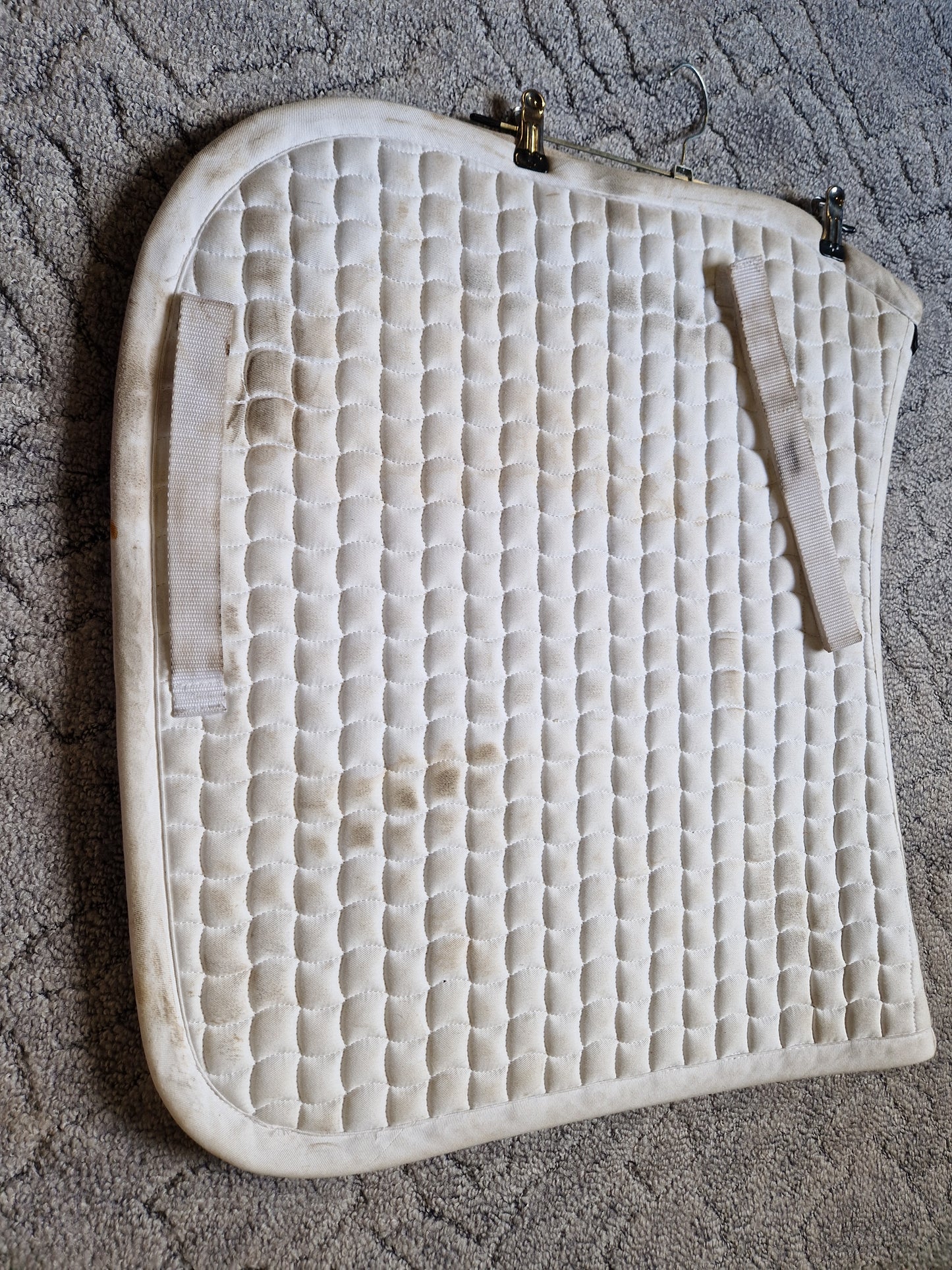 Czaprak eskadron Cotton PD