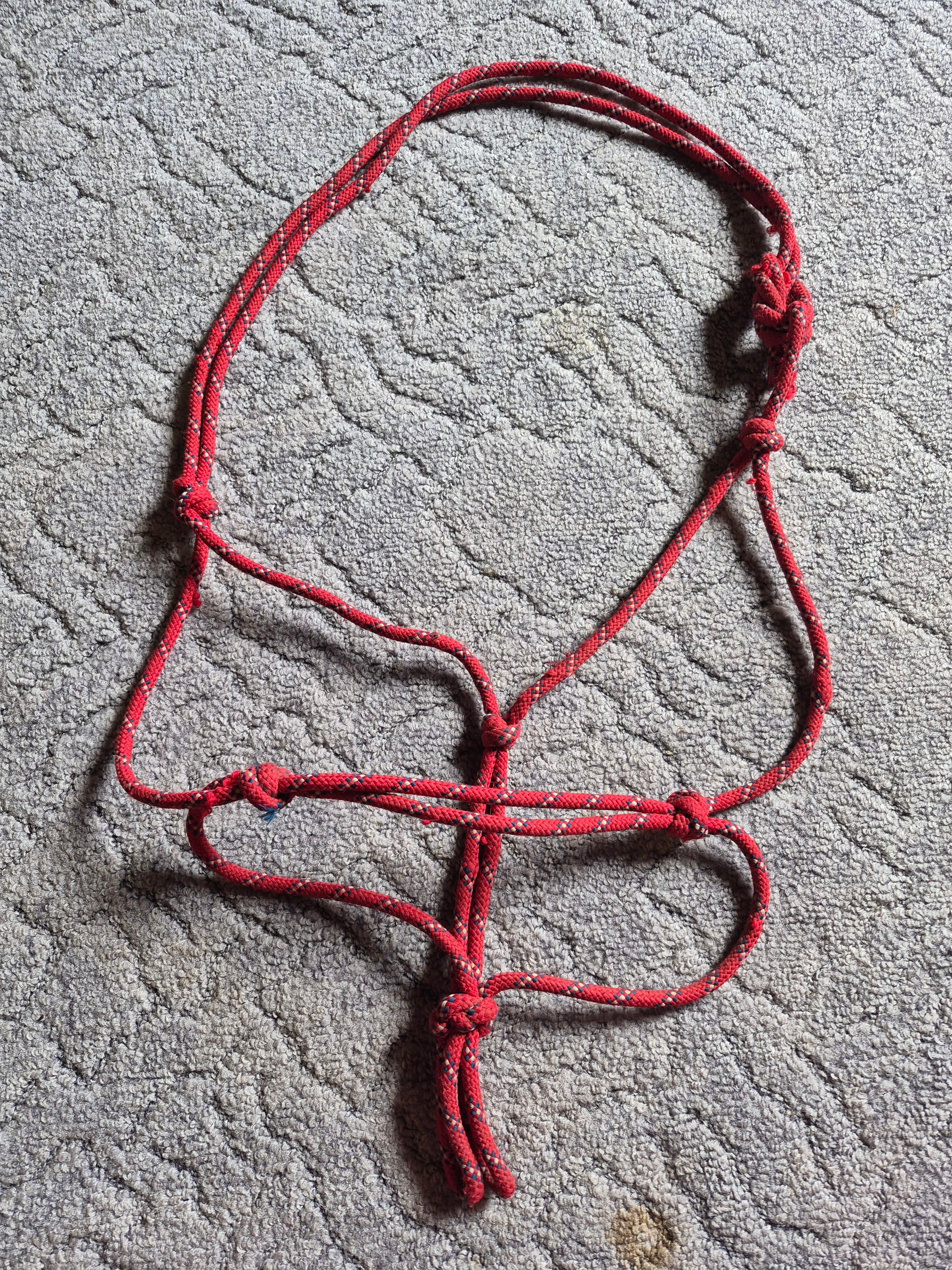 Halter [ kantar sznurkowy ] full/xfull czerwony