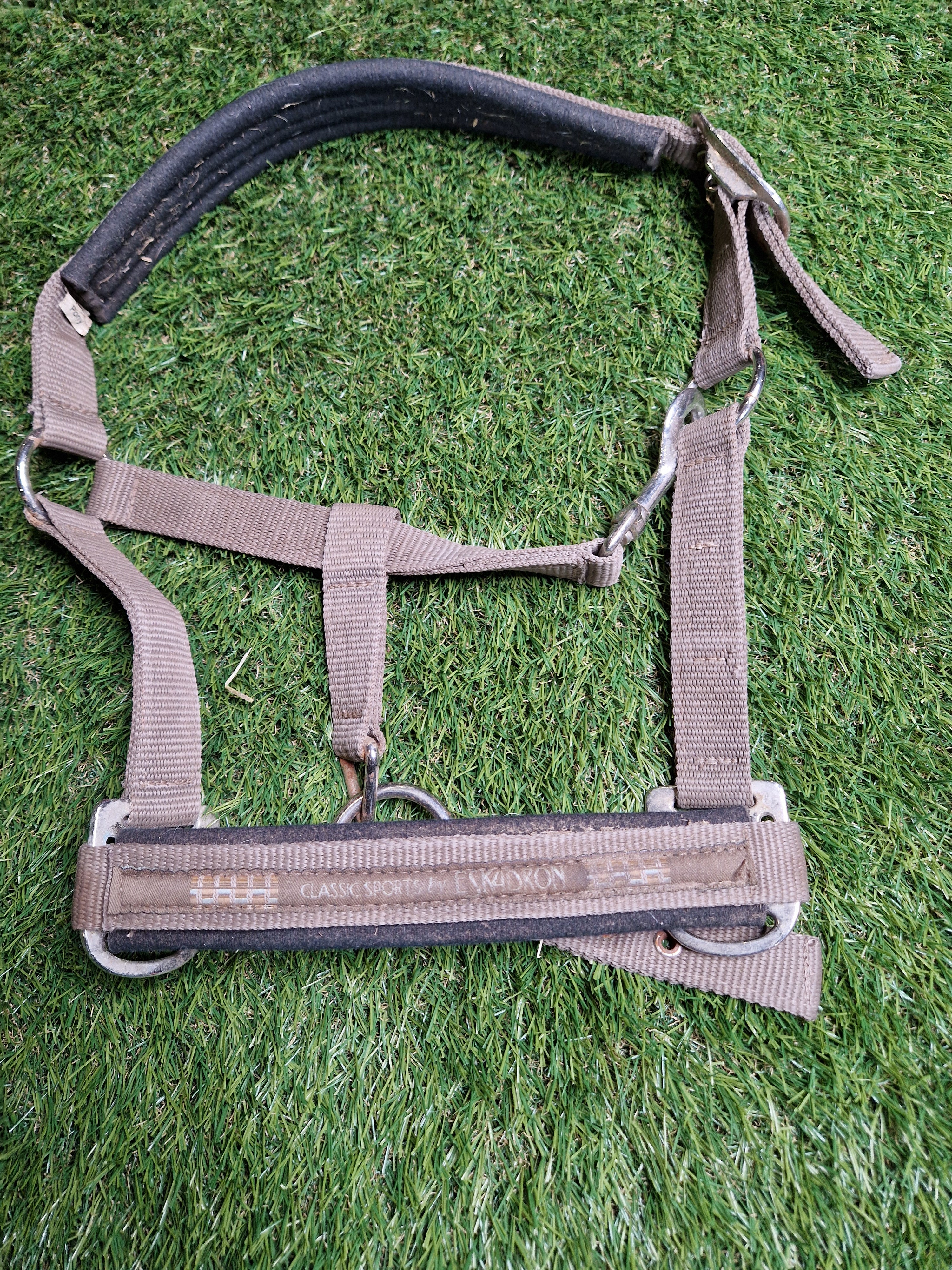 Kantar Eskadron PI brąz